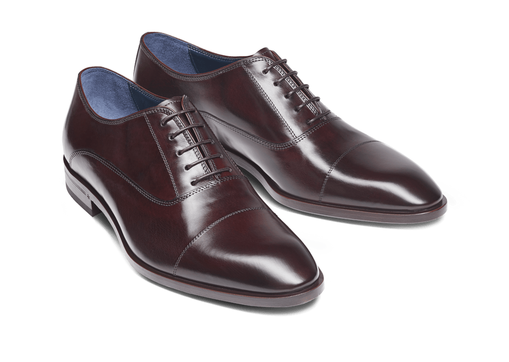 Oxblood