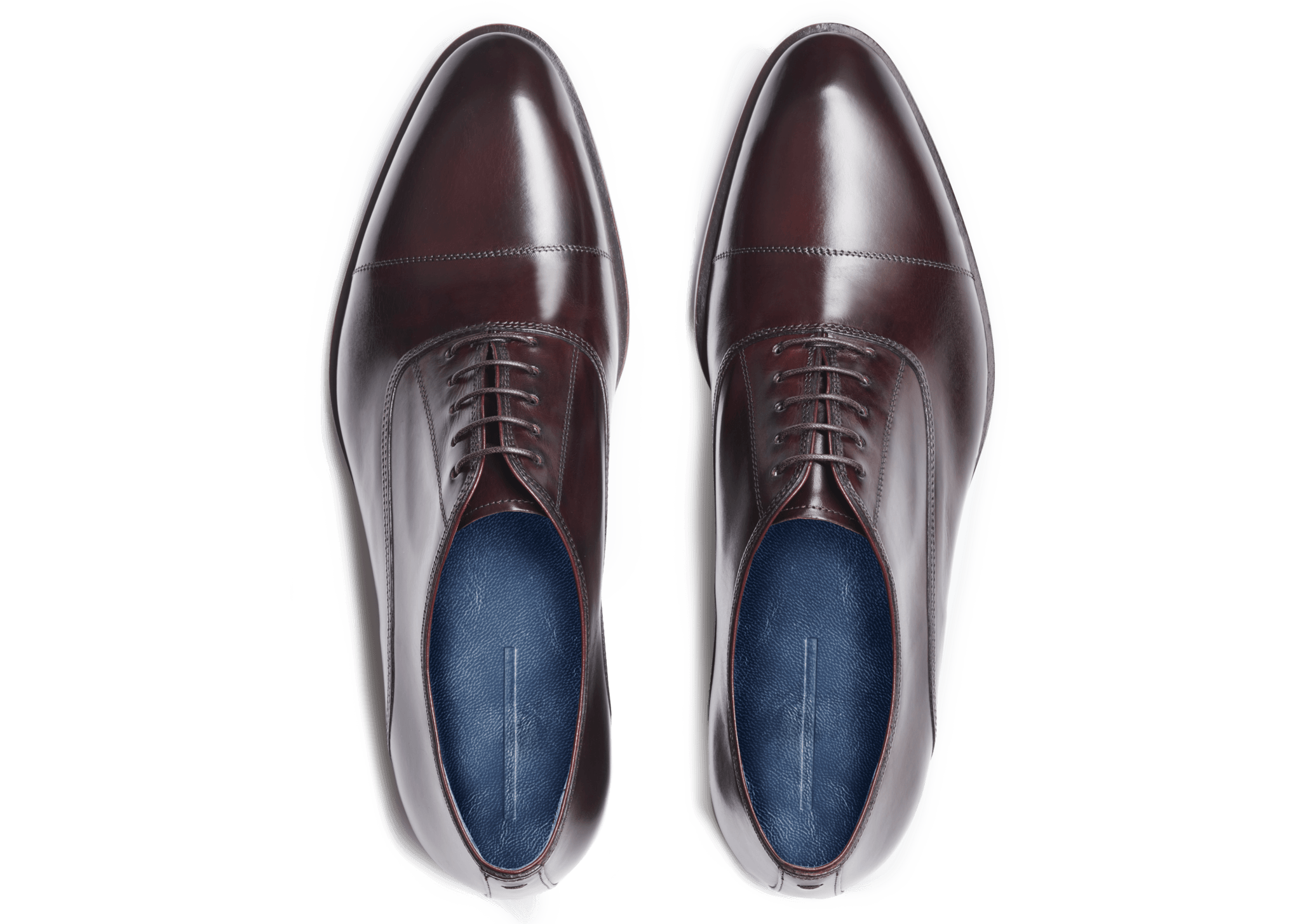 Oxblood