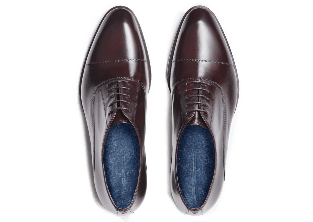 Oxblood
