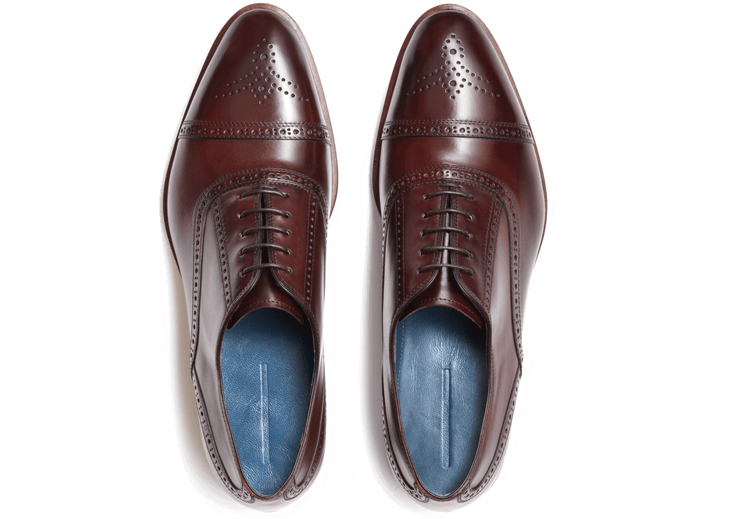 oxblood