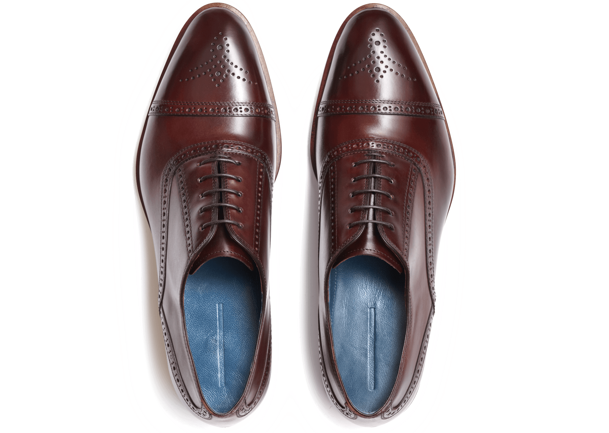 oxblood