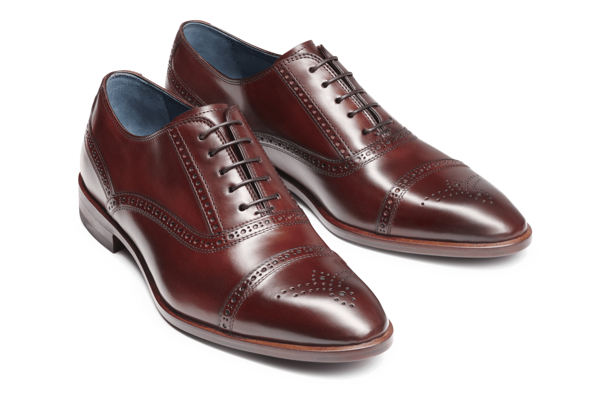 oxblood